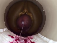 cornea da cum cam uomo