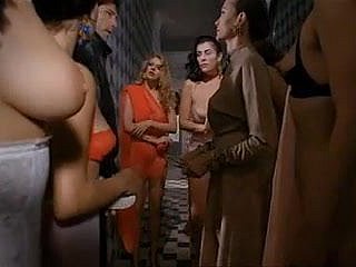 Paprika (1991) oleh Tinto Trust